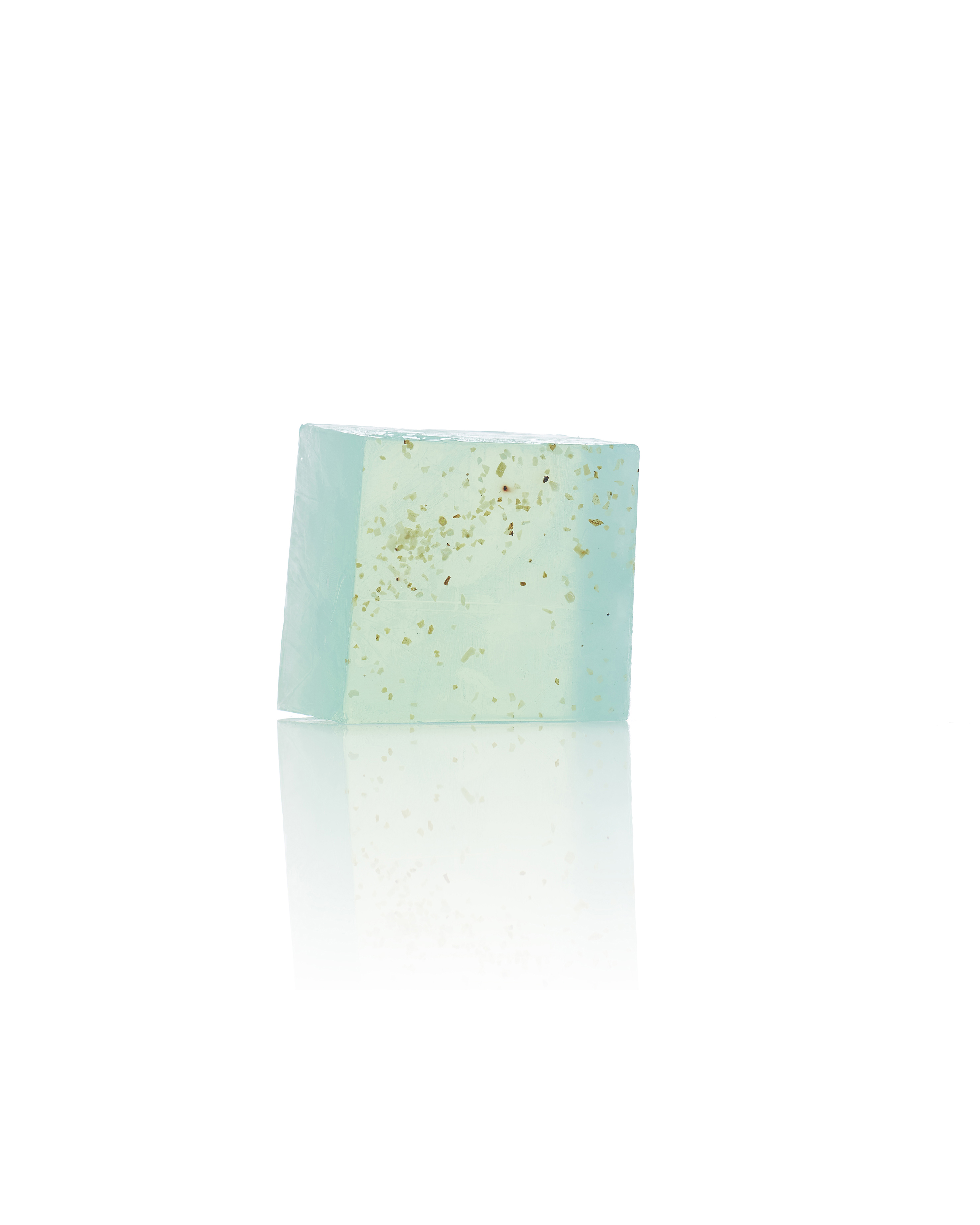 Algae soap